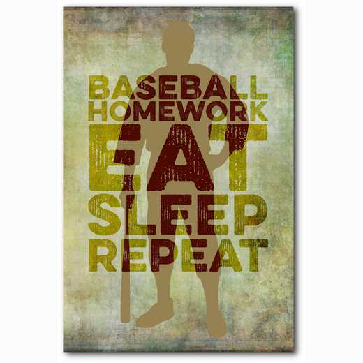WEB-TS146-12X18: Eat Sleep Repeat Baseball, 12x18